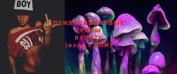 ешки Балахна