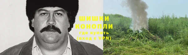гидра Горнозаводск